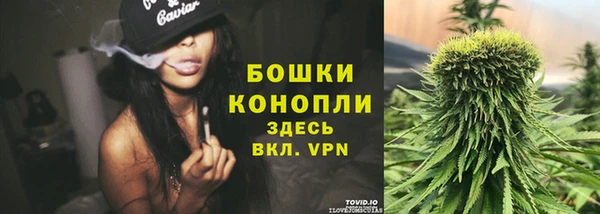PSILOCYBIN Заволжск