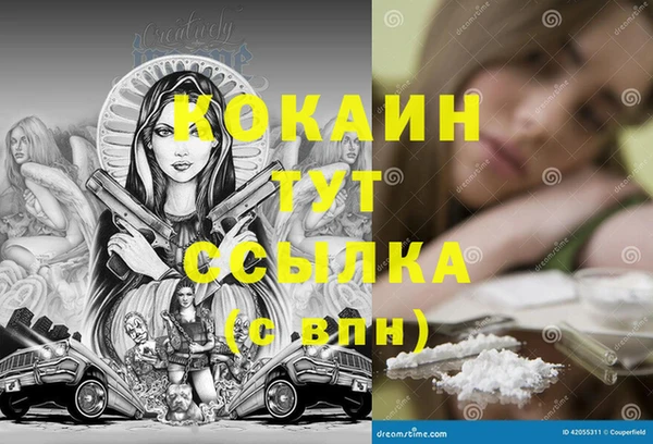 PSILOCYBIN Заволжск