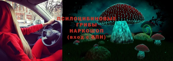 ГАЛЛЮЦИНОГЕННЫЕ ГРИБЫ Заводоуковск