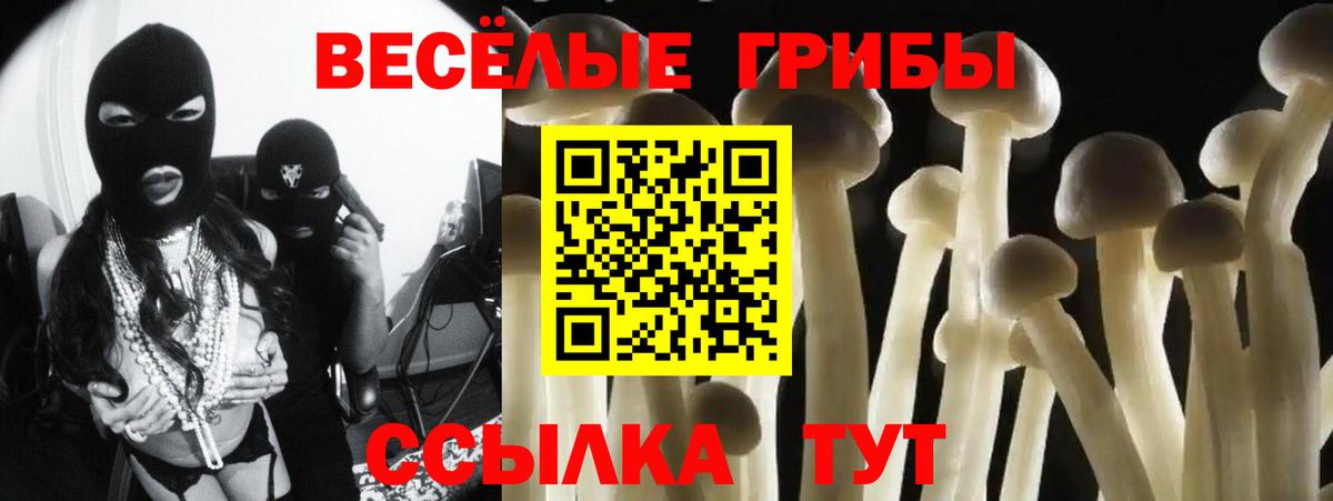 Галлюциногенные грибы Psilocybe  Вход с VPN  цены наркотик  Ялуторовск 